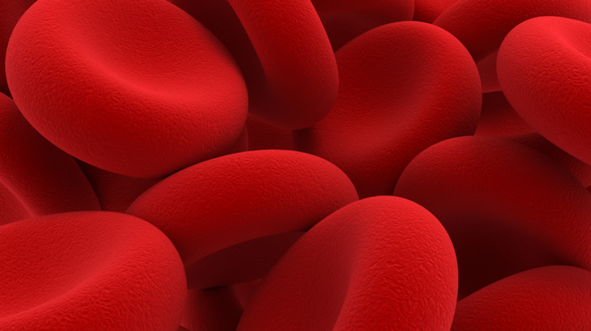 Grafika programu profilaktyki CHUK