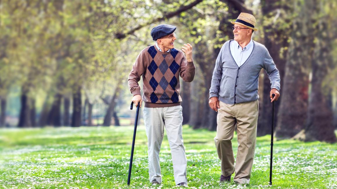 Dwóch panów z laskami na spacerze w parku