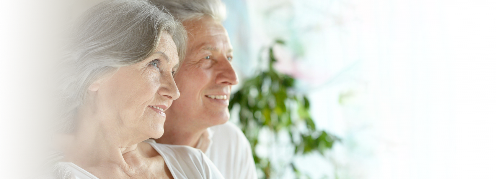 12 porad – po jednej na każdy miesiąc, zilustrowane ikonkami.