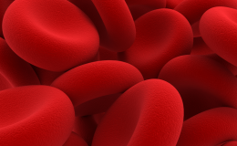 Grafika programu profilaktyki CHUK