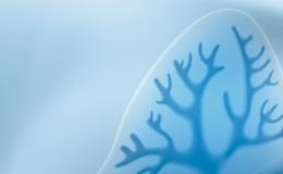 Grafika programu profilaktyki gruźlicy