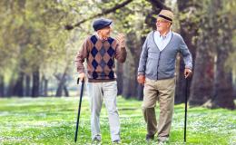 Dwóch panów z laskami na spacerze w parku